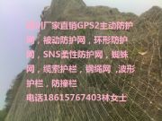 FݰSNSԷo(h)W(wng)S·rʯW(wng)䓽zW(wng)r(ji)߅·o(h)W(wng)