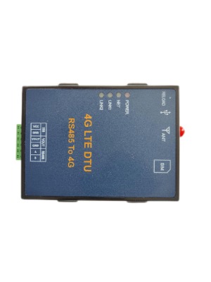 d(lin)(lin)WWPdtu-t100