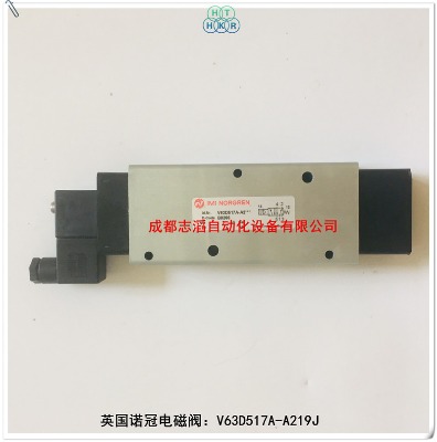 v63d517a-a219jӢ(gu)Z·C(j)е늴y