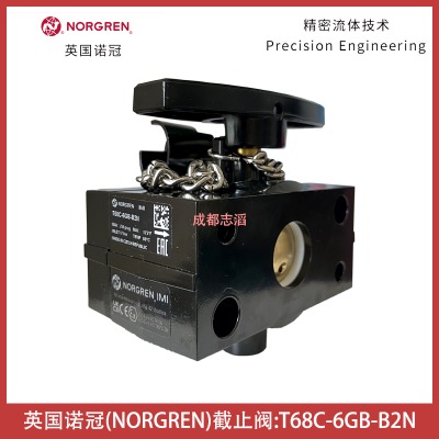 t68c-6gb-b2nӢ(gu)Zڽֹynorgren՚̎