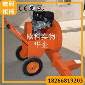 ʽ·洵LC ʽmC