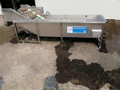 食材清洗機 氣泡清洗機廠家