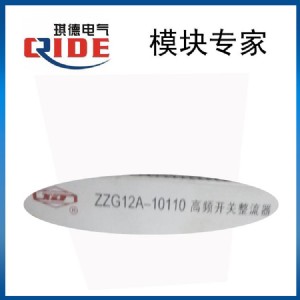 zzg12a-10110l_P(gun)ԴģK