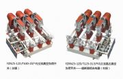 fzn25-12/fzrn25-12d/tؓ(f)_P(gun)