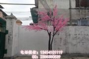 ĵ b ĵ辰 ѻ ĵ