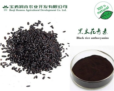 ȡﻨ25W(bio)