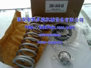 cc102954637946638ǸgdSSް