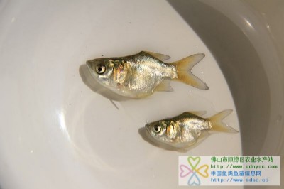 sǻ~sǴ^