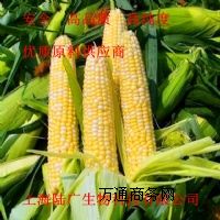 ձĠIB(yng)턩