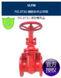 FIG.073UlyRING|-FMJCly