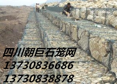 Ѵʯ\W(wng)ʯ\W(wng)Sҡʯ\W(wng)r(ji)\ʯ\W(wng)eW(wng)