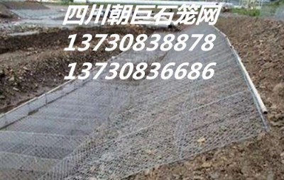 Ѵʯ\W(wng)ʯ\W(wng)Sʯ\W(wng)eW(wng)ʯ\W(wng)