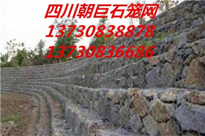 ·o(h)W(wng)̉ηѴW(wng)ʯ\W(wng)S(chng)ʯ\W(wng)䡢eʯ\W(wng)