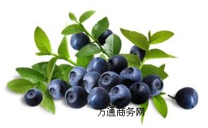 ԴF(xin)؛oӄɫȻ{ݮ֭
