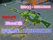 ΘڏSң͙C(j)P(gun)ߚڃr(ji)
