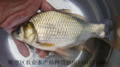 a~磬Ϸa~a~