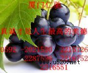 ħl(f)r(ji) ħa(chn)SֱN(D)