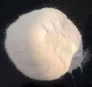 (yng)㽭ݰʯʯӡݰʯ