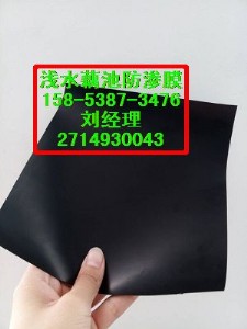 (yng)ݡˮa(chn)B(yng)ֳ0.5mmBĤr(ji)