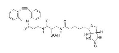 ws dbco-biotin1363444-70-5-h(hun)Ȳ-