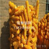 _Ȧ׾W(wng)S*|ԴȦӾW(wng)r