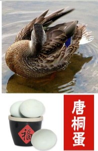 ͩ  ƺخa(chn) (yng)خa(chn) Yb20ö r  68