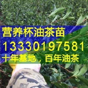 Ĵe޽Ͳ,Ϫ,,L(zhng),߿h߮a(chn)Ͳr(ji)