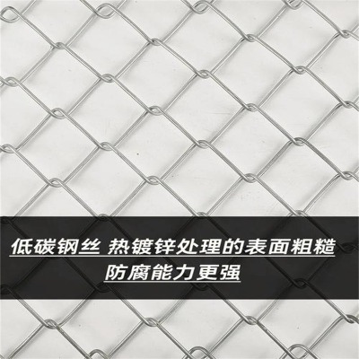 ӱ\W(wng)Sҹ(yng)FXGιW(wng)ꖑo(h)