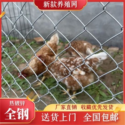 ӱ\FzW(wng)SǭwȫoW(wng)䓽z