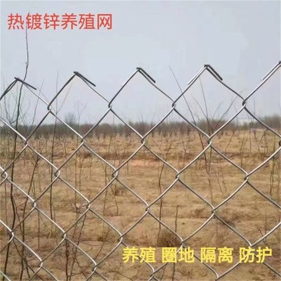ӱúVξW(wng)Sҹ@Ȧ䓽zW(wng)̶๦ܹW(wng)