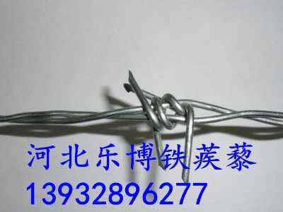 㽭\KS 2.5׵·B(yng)o䓽zW(wng)