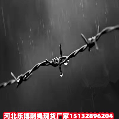 ƽ\KS㽭Ȧɽ䓽zW(wng)(l)ȦɽFz