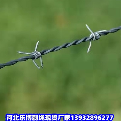 ٹ·ȫWݰܴFzȪݰ䓽zW