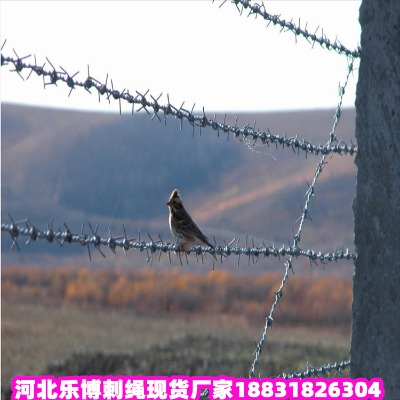 \KS l(xing)\䓽zW ꖟ\Fz