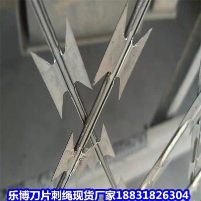 _(ti)\KS _(ti)12̖(ho)\ƬK