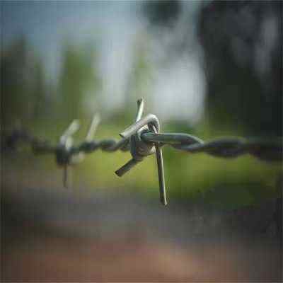 ӱ\KF(xin)؛SҺ\FzW(wng)\䓽zW(wng)