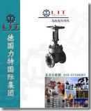 ߜظ߉ly||M(jn)ڸߜظ߉lyƷSңr