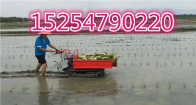߲\ݔ܇ gr(nng)D(zhun)\܇Ďʽ\ݔ܇