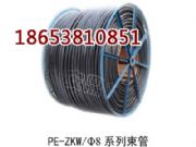 PE-ZKW/88V 8·ܷ·