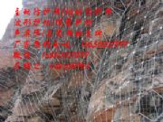 spiderӷoWS+~ӷoW|l(f)