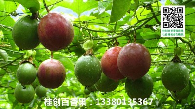 ϺϺl(f)rNVԽϰa(chn)
