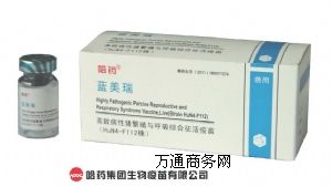 {-{磨HuN4-F112꣩