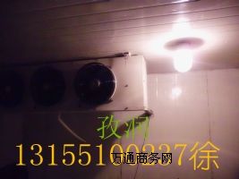 ur찲b
