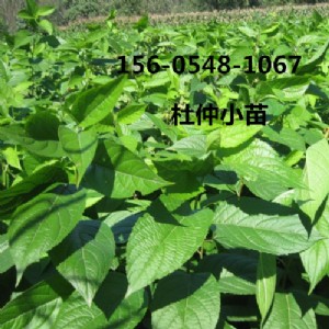 l(f)2345ֶXһ