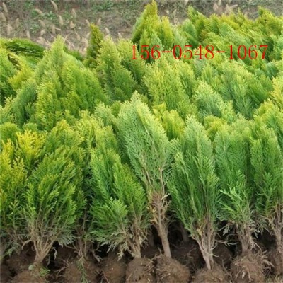 1.5ׂȰ؈r2ׂȰ؎l(f)؛2.5ׂȰ؈r