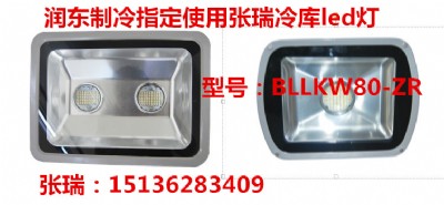 家明品牌80w冷庫(kù)燈