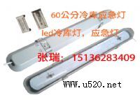 家明節(jié)能冷庫應急燈(圖)