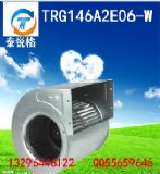 ̩JLC̖trg146a2e06-w