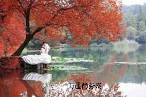 ʥzӰݻ鼆չԃr(ji)ȸ߻鼆ʲôr(sh)ĺ