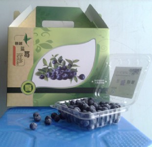  Խf@ b{ݮr125gb